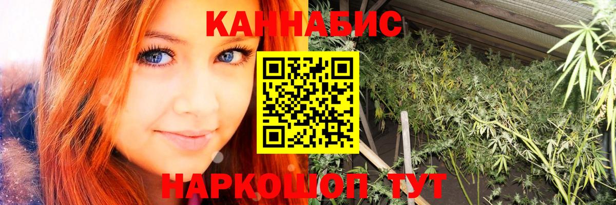 Марихуана конопля Лабытнанги