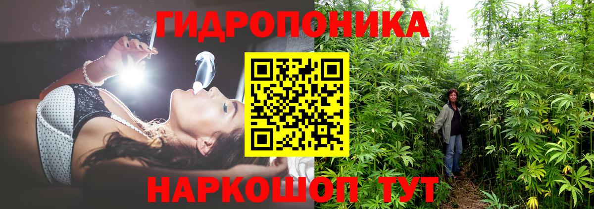 Лабытнанги  Бошки Шишки сатива  Вход с VPN  Канабис THC 21%  Каннабис тримм 